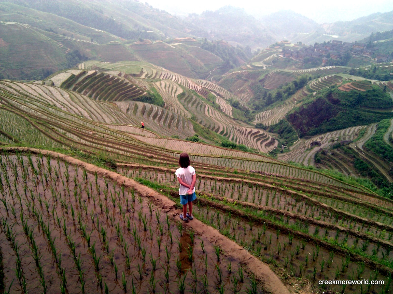 Watching Rice Grow at the Most Beautiful Place on Earth:  Asia – China – Day 7